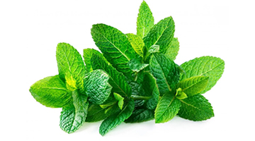 mint